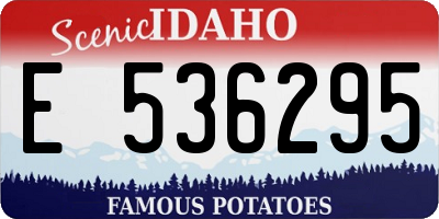 ID license plate E536295