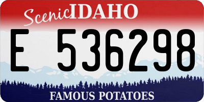 ID license plate E536298