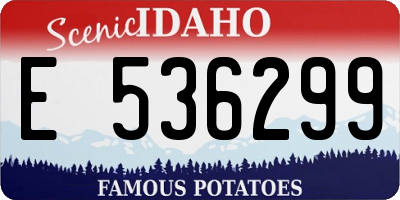 ID license plate E536299