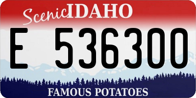 ID license plate E536300