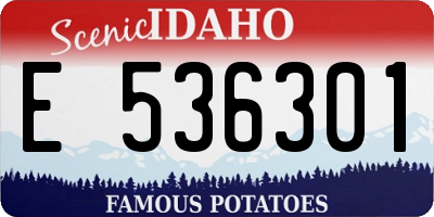 ID license plate E536301