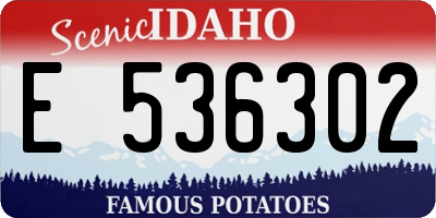 ID license plate E536302