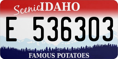 ID license plate E536303