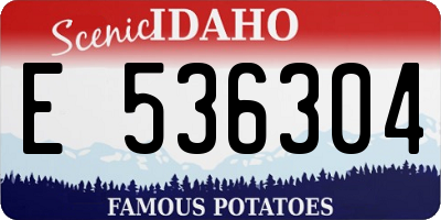 ID license plate E536304