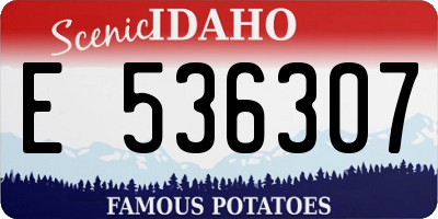 ID license plate E536307