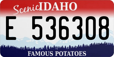 ID license plate E536308