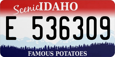 ID license plate E536309