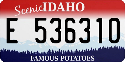 ID license plate E536310