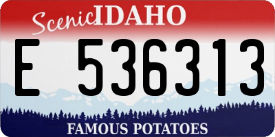 ID license plate E536313