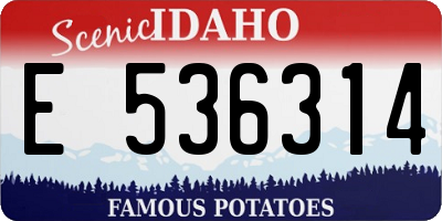 ID license plate E536314
