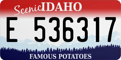 ID license plate E536317