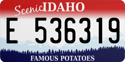 ID license plate E536319