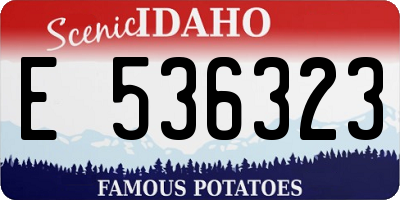 ID license plate E536323