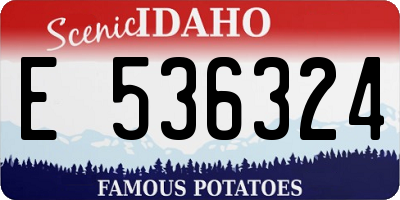 ID license plate E536324