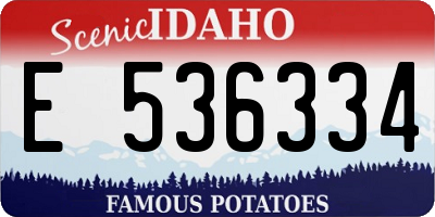 ID license plate E536334
