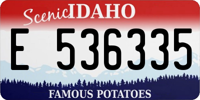 ID license plate E536335