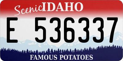 ID license plate E536337
