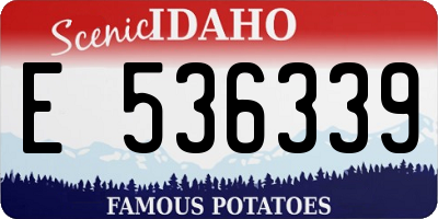 ID license plate E536339