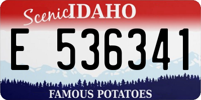 ID license plate E536341
