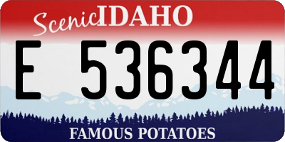 ID license plate E536344