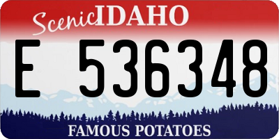 ID license plate E536348