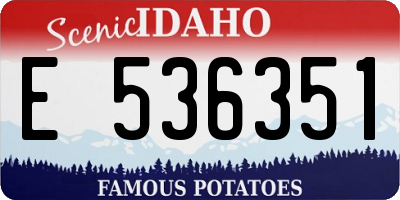 ID license plate E536351