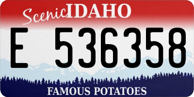 ID license plate E536358