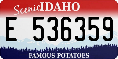 ID license plate E536359