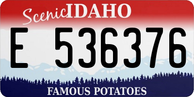 ID license plate E536376