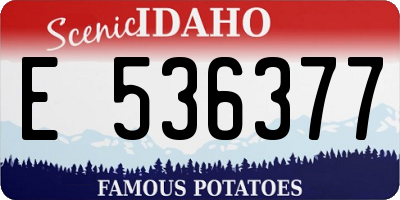 ID license plate E536377