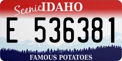 ID license plate E536381