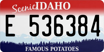 ID license plate E536384