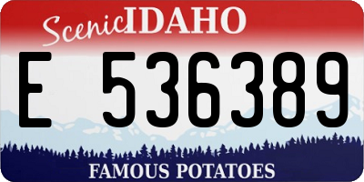 ID license plate E536389