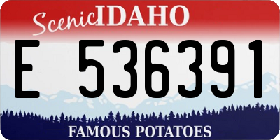 ID license plate E536391