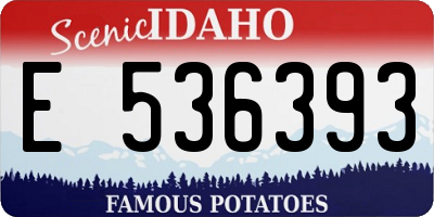 ID license plate E536393