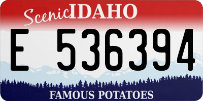 ID license plate E536394