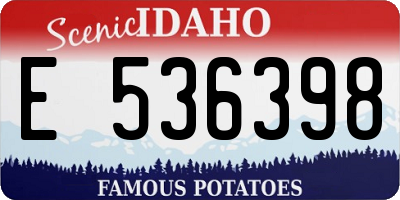 ID license plate E536398