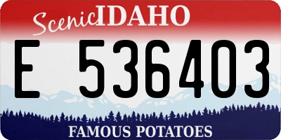 ID license plate E536403