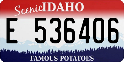 ID license plate E536406