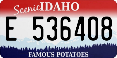 ID license plate E536408