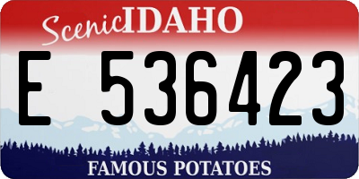 ID license plate E536423