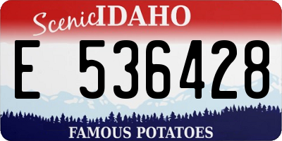 ID license plate E536428
