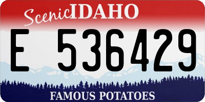 ID license plate E536429