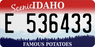 ID license plate E536433