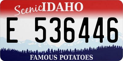 ID license plate E536446