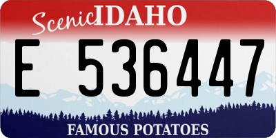 ID license plate E536447