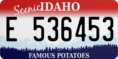 ID license plate E536453