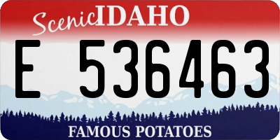 ID license plate E536463