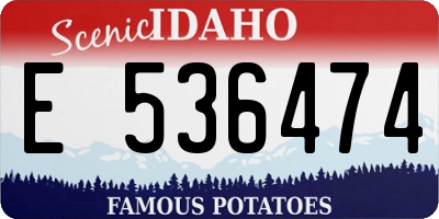 ID license plate E536474