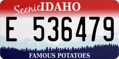 ID license plate E536479